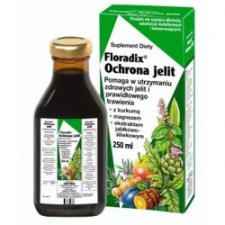 Floradix - Ochrona Jelit * 250 ml